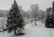 20160214_090934.jpg